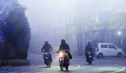Intense cold prevails in Punjab and Haryana