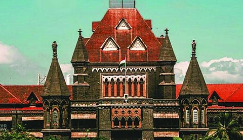 Justice does not mean whatever I want: Bombay HC raps law student