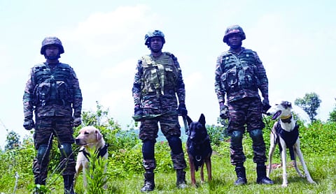 K9 warriors steal the show at Exercise PRAGATI 2026
