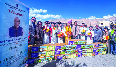 Ladakh dispatches first consignment of Liliums flowers to markets