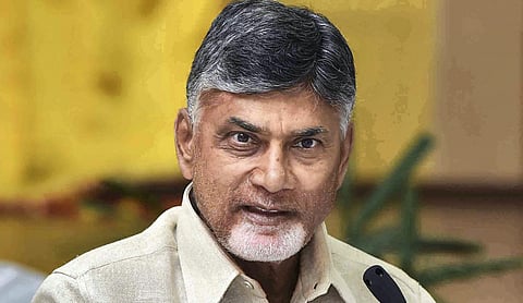 Andhra Pradesh CM Chandrababu Naidu I PTI image