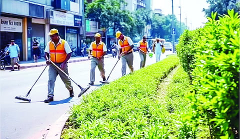 NDMC launches intensive sanitation campaign