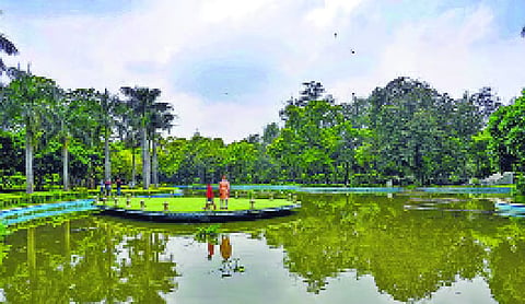 NDMC to clean Nehru Park lake using bio-remediation treatment