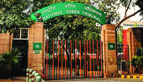 NGT asks NMCG to trace origin of Budhi Ganga river in UP