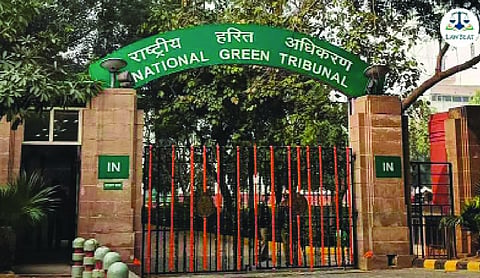 NGT directs completion of proceedings to levy Rs 2.65 cr on BHU for illegal tree-felling