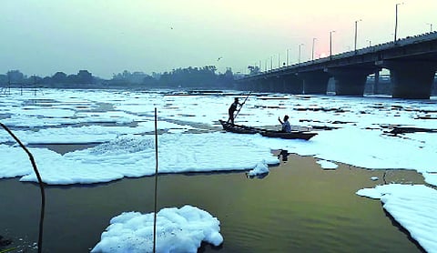 NMCG launches wetland projects to clean Yamuna drains