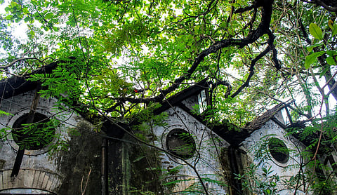 A dilapidated building in Calicut, Kerala. Representational image. Photo: Jyothis M G/Wikimedia Commons (CC BY-SA 4.0).