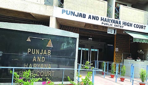 P&H High Court denies relief to lawyer for using casteist slur