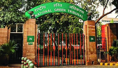 Panel asks NGT to use suo motu on critical environmental concerns