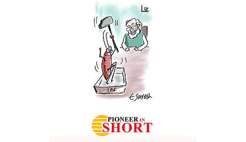 Pioneer in Short