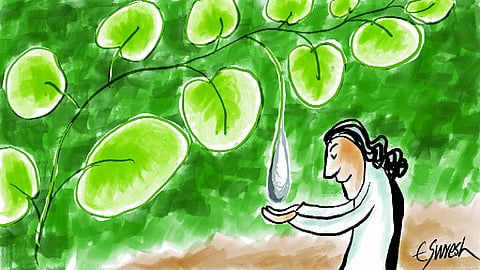 PPP: Reimagining national resource management