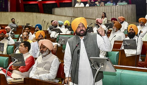 Chief Minister Bhagwant Mann (PTI Image)