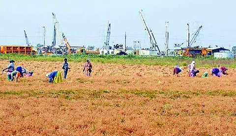 Punjab decides to amend land pooling policy