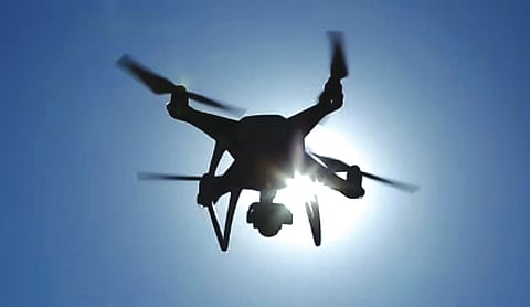 Rajasthan HC prohibits night safaris, drone usage in Jawai Leopard Reserve