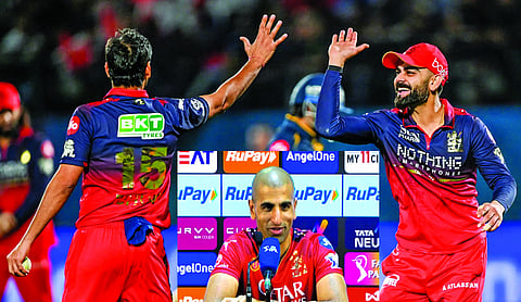 RCB’s collective firepower makes them a ‘complete tea’, says Bobat