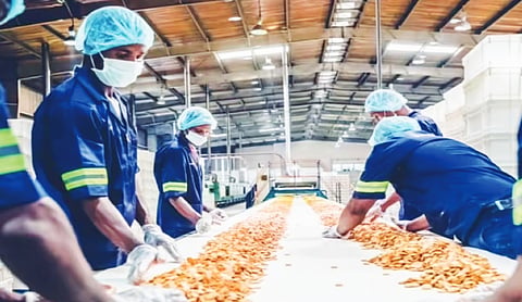 Rs 9,200 crore invested under food processing PLI scheme