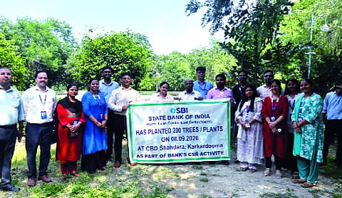 SBI plants 200 trees in Shahdara, Surajmal Vihar