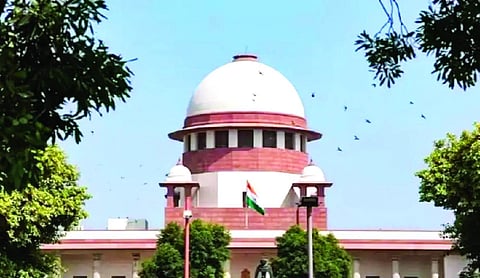 SC irked over non-compliance of orders by states in stray dog case