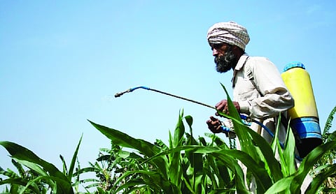 Science is powering India’s next agricultural revolution