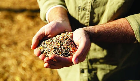 Seed firms hold 20-30% surplus stock for Kharif: FSII
