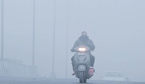 Severe cold persists in Punjab and Haryana