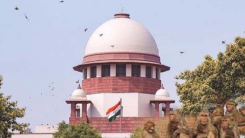 Simian scare has apex court looking for succour