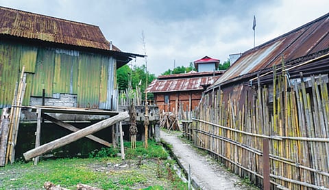 Sugor Tso : An Alpine Lake system of Upper Siang