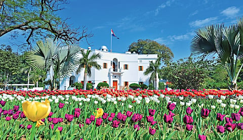 The bloom of the tulip diplomacy