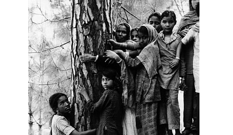 The long history of India’s changing relationship with nature