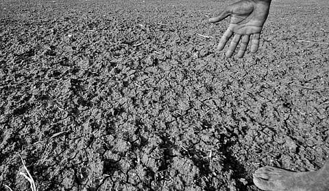 A drought-affected plot in Karnataka in 2012. Representational image. Photo: Pushkarv/Wikimedia Commons (CC BY-SA 3.0).