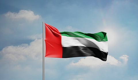 Representational image: The UAE flag.