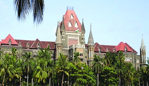Vadhvan Project: Bombay HC clears mangrove removal