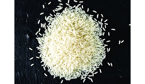 West Bengal rice industry seeks infra push, faster clearances