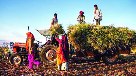 What India must fix before embracing free trade
