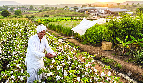 White gold, new dawn: India’s journey from cotton heritage to new age fibre leadership