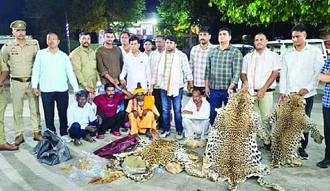 Wildlife SOS disapproves poaching allegations
