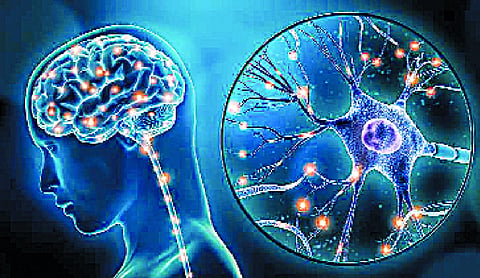Yoga sutra, Neuroplasticity and Cognitive Behavioral Therapy - A Continuum