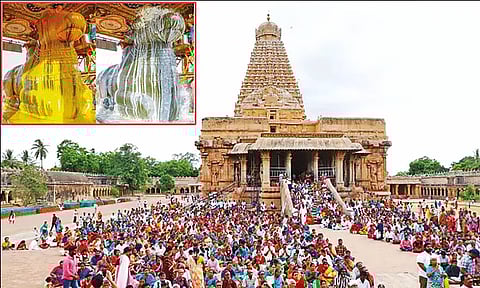 தை மாத பிரதோஷ வழிபாடு: தஞ்சை பெரிய கோவில் நந்திக்கு சிறப்பு அபிஷேகம்