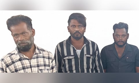 நெல்லையில் 1.1 கிலோ கஞ்சா பறிமுதல்: 6 பேர் கைது