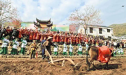 சீனாவில் வசந்த காலத்தை ஏர் பூட்டி வரவேற்ற மக்கள்