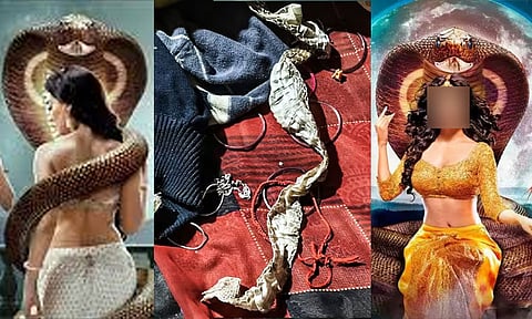 படுக்கையில் பாம்பு சட்டை, திருமணத்திற்கு முன்... நாகினியாக மாறிய இளம்பெண்; அதிர்ந்து போன பெற்றோர்