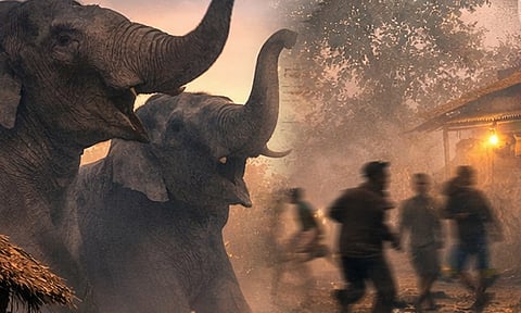 காட்டு யானைகள் அட்டகாசம் - ஒரே குடும்பத்தைச் சேர்ந்த 4 பேர் உயிரிழந்த சோகம்