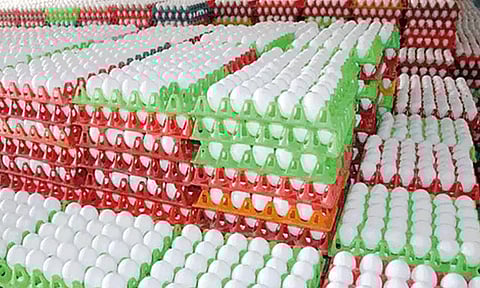 நாமக்கல் மண்டலத்தில் முட்டை விலை 5 காசுகள் உயர்வு