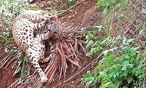 கோப்புப்படம்