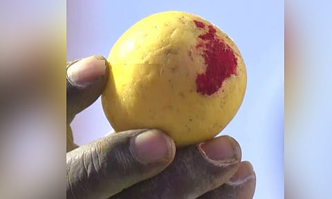 பழந்தின்னி கருப்பண்ண ஈஸ்வரர் கோவிலில் பூஜைக்கு வைக்கப்பட்ட எலுமிச்சை பழம் ரூ. 13 ஆயிரத்திற்கு ஏலம்