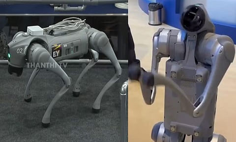 டெல்லி கண்காட்சியில் சீன ரோபோ; மோடி அரசு இந்தியாவை கேலிப்பொருளாக்கியுள்ளது - காங்கிரஸ் தாக்கு