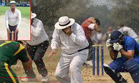 தேனீக்கள் கொட்டியதில் கிரிக்கெட் நடுவர் மரணம்