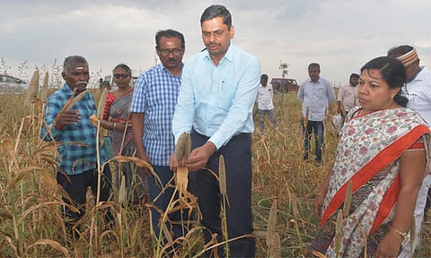 பருவமழை குறைவால் விவசாய நிலங்கள் பாதிப்பு: தூத்துக்குடி கலெக்டர் நேரில் ஆய்வு