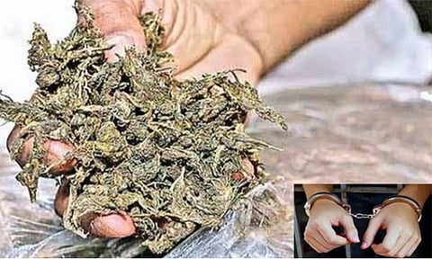 நெல்லையில் கஞ்சா விற்ற வாலிபர் கைது