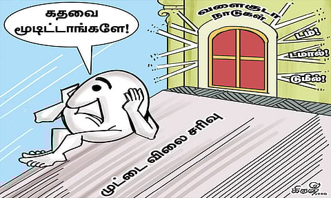 வேகமாக சரிந்து வரும் முட்டை விலை